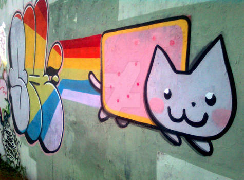 T Up 28   Nyan Cat Graffiti   2  By Shinodage-d5h8