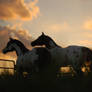 Wapiti and Friends (Oh, and dat pony there)