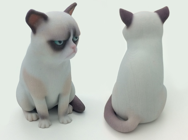 Grumpy Cat 3d Print 2