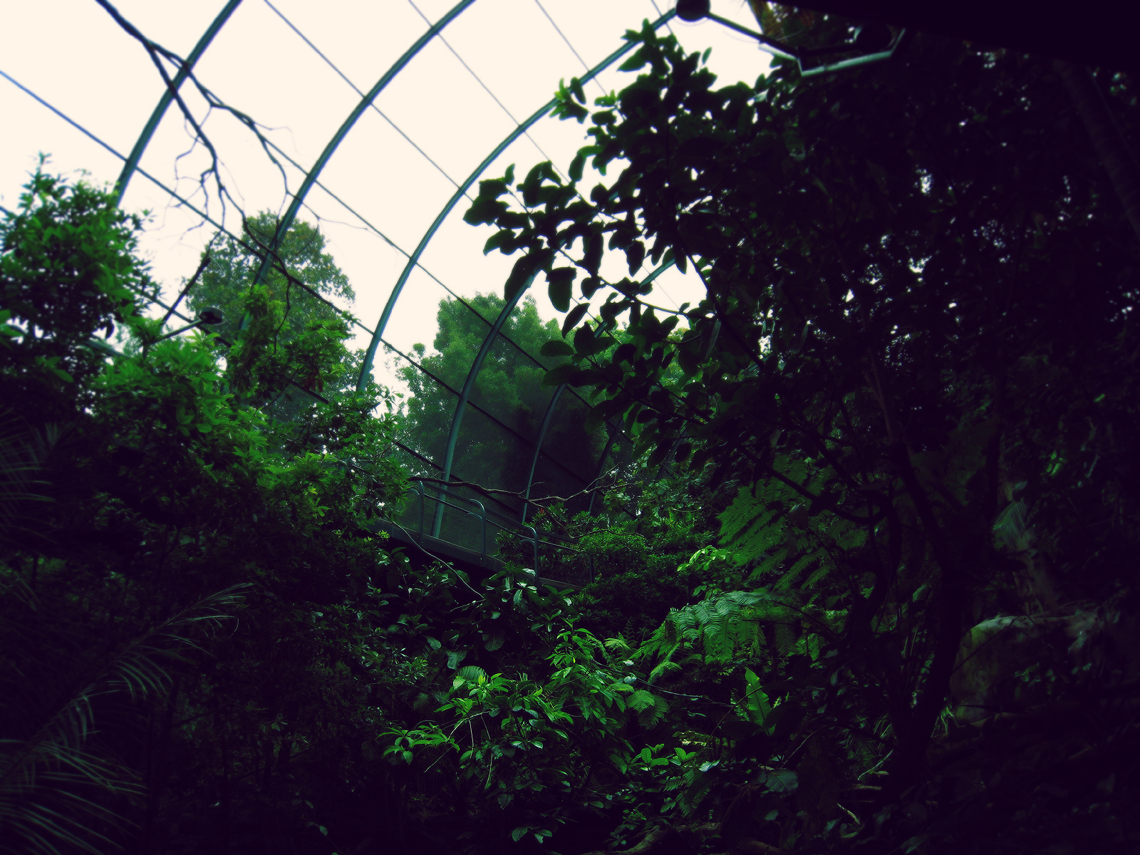 aviary