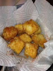 Home made fried tofu