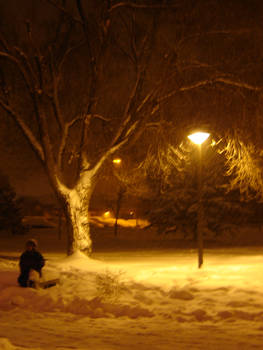 Lamp and Tree in Snow