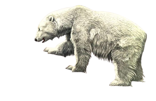 Lagger Flashdeck Polar Bear by Kingofmoremonsters on DeviantArt