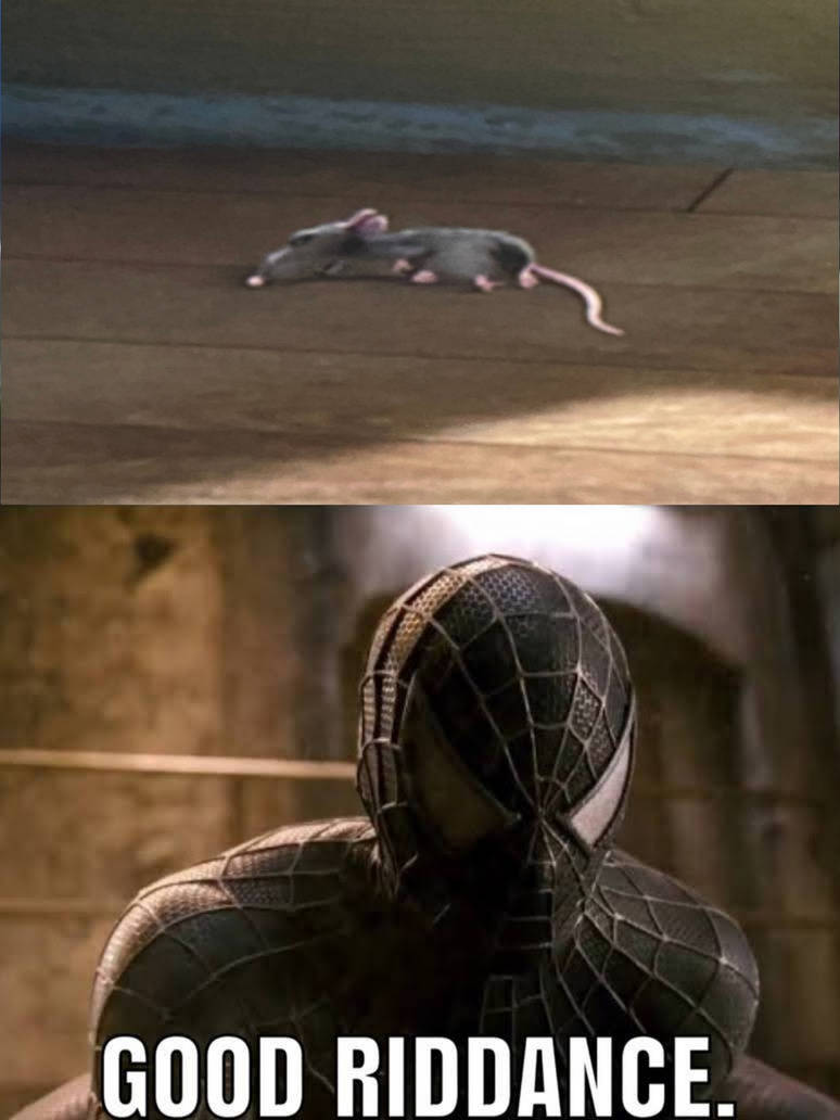 Rat Riddance Programs Good Riddance Remy the Rat by RATATOUILLE-HATER-07 on DeviantArt