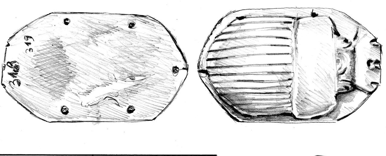 41 Skarabaeus by Azuho on DeviantArt