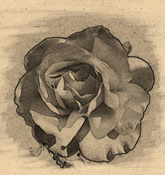 Charcoal Rose