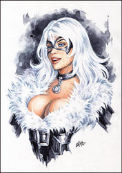 Black Cat by Candra