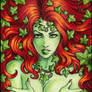 Poison Ivy