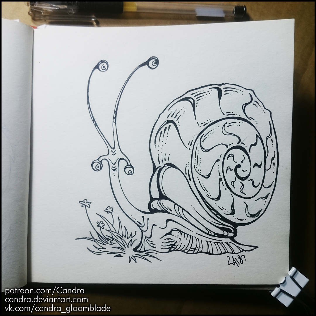Sketchbook - Long-horned snail by Candra on DeviantArt