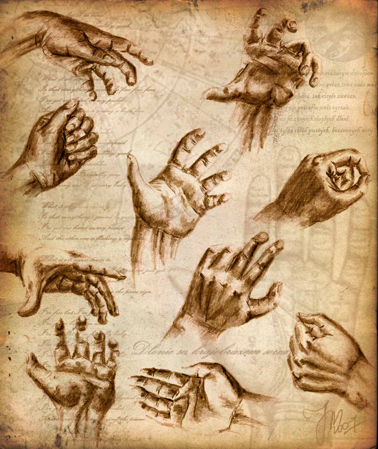 Hands study