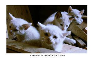Fantastic Four