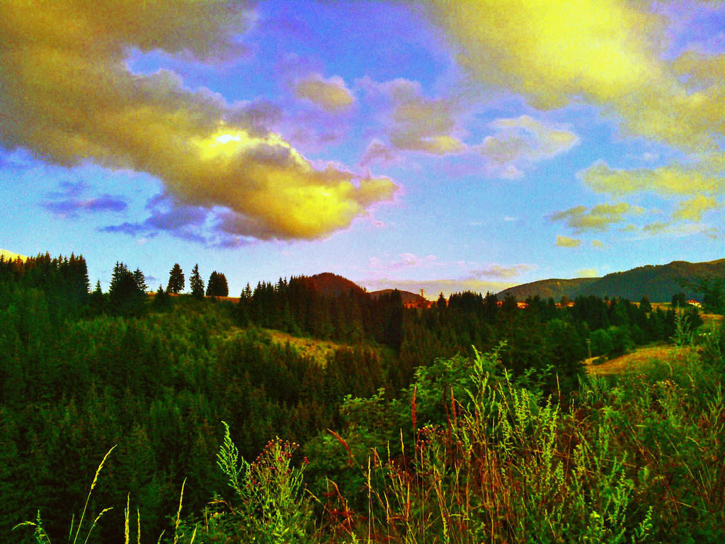 Rain Clouds above the Forest