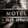 Blue Spruce Motel