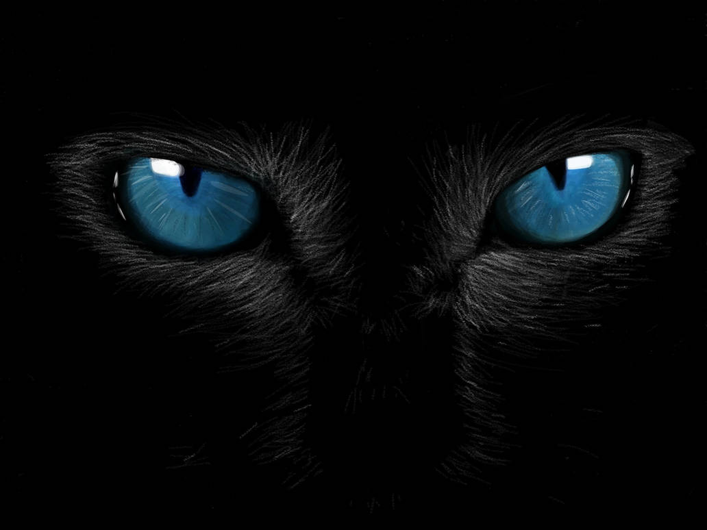 Negro con. Глаза черной кошки. Пантера с бирюзовыми глазами. Глаза пантеры. Чёрная пантера с бирюзовыми глазами.