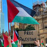 Free Palestine 