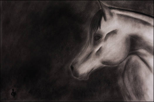 horse drawing 3