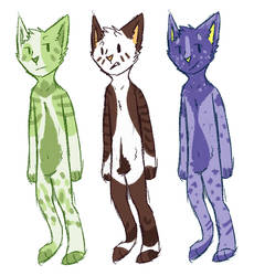 quick cat adopts 3