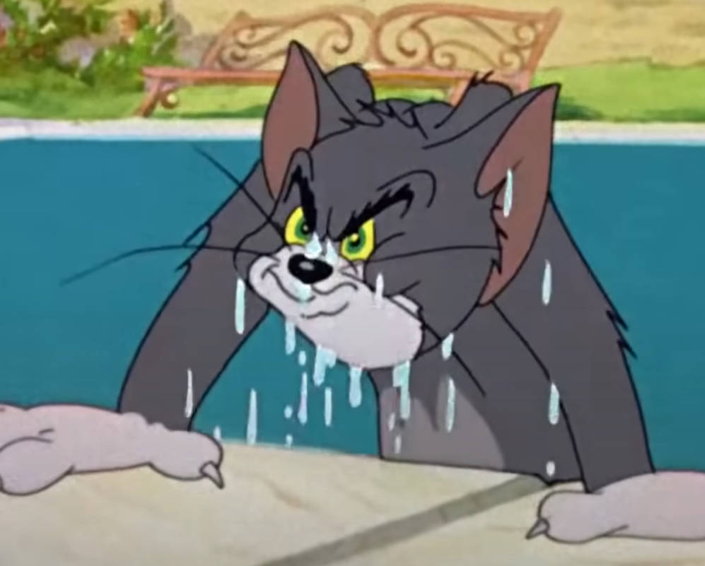 Tom Cat Raging Tom Cat Angry by JTPA2K6 on DeviantArt