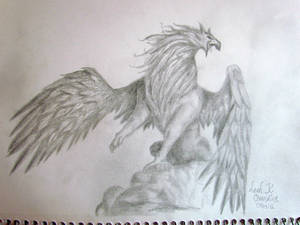 Griffin