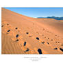 Mesquite Sand Dunes, Footsteps