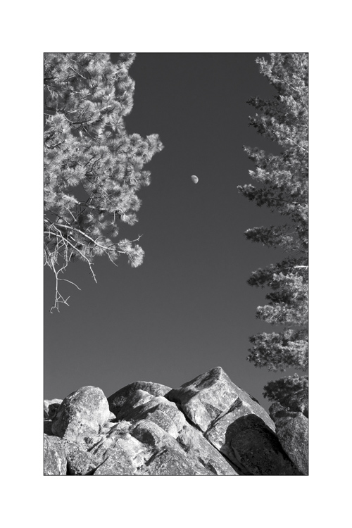 Rocks, Trees and Moon