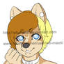 Shiba inu Furry