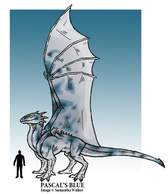 Pascal's Blue by SeaSuds on DeviantArt
