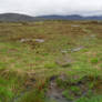 Scottish Highlands (4)