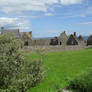 Dunnottar Castle (4)