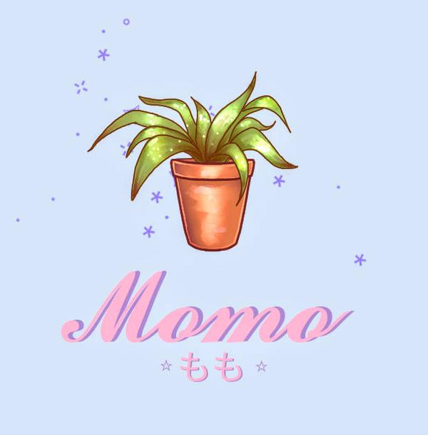 Plant momo the Sushi Momo