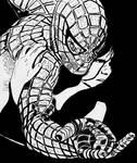 Spiderman.. by ladyjart