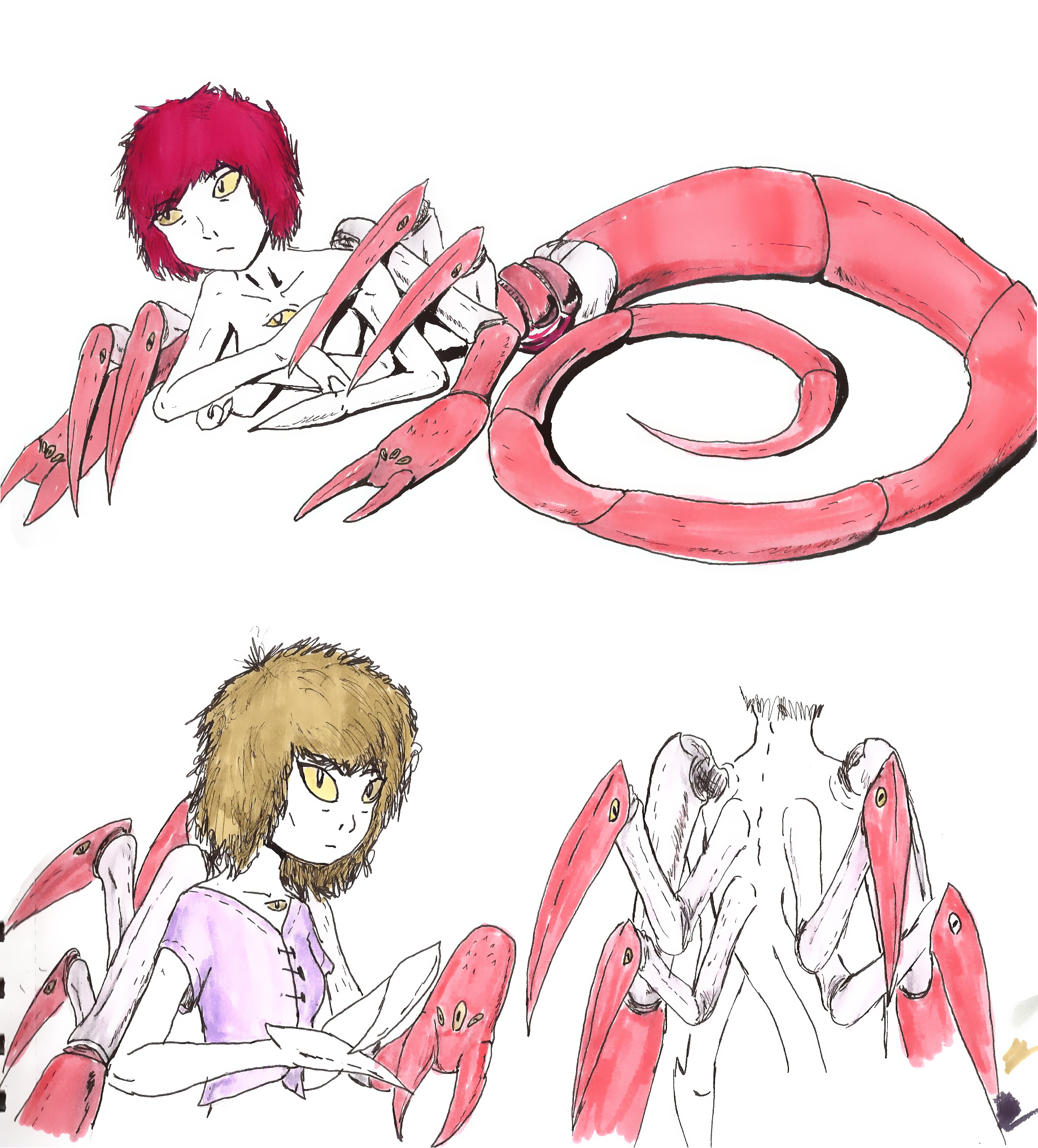 Quandarius Deviantart Quaralians by Maycrofy on DeviantArt