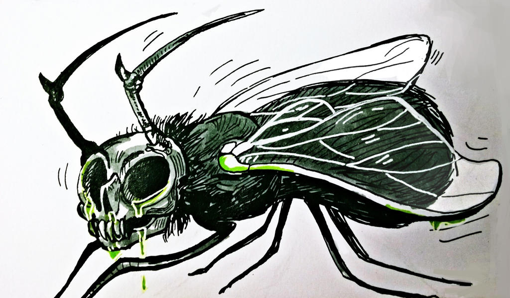 Deviantart Insect Horror Insect by Zapekanka on DeviantArt