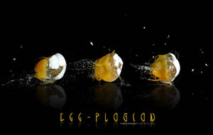 Egg-plosion