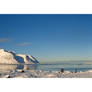 Winter Pano