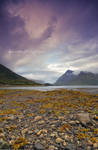 Vaterfjord by Stridsberg