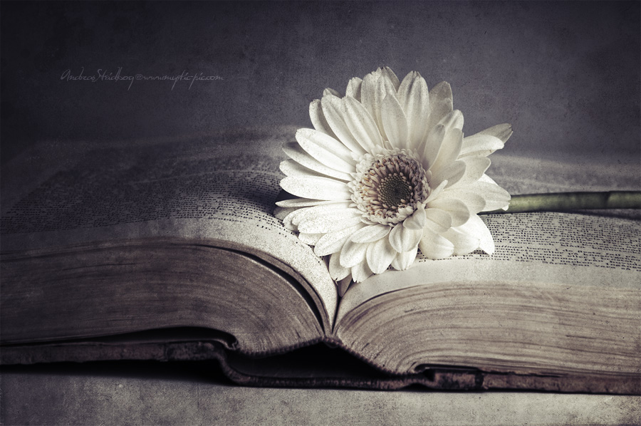 Poetry by Stridsberg