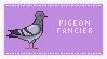 pigeon fancier stamp by g1itterpunk