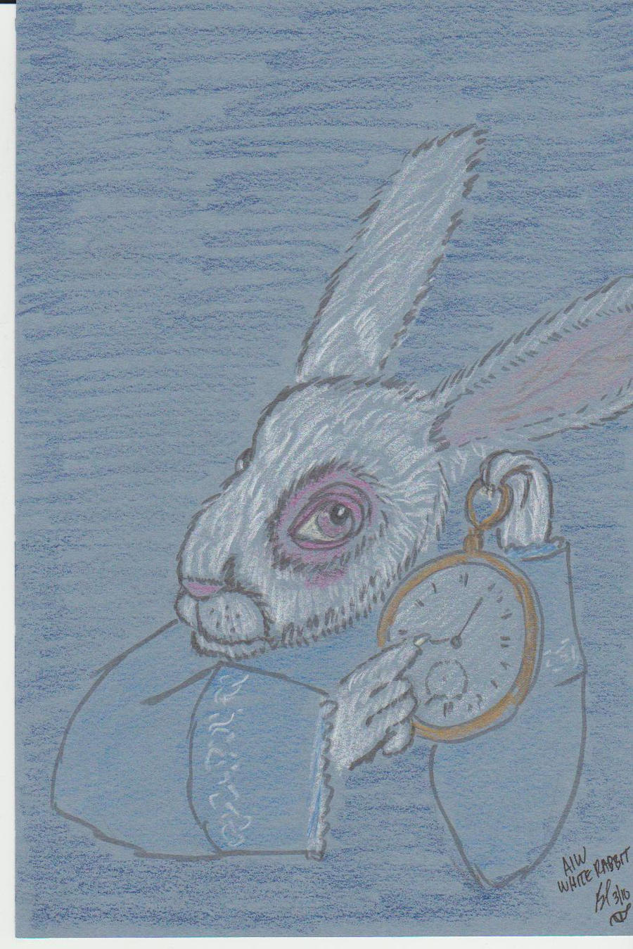 AIW-White Rabbit by dragonstalon65 on DeviantArt