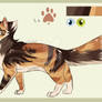 [CLOSED] Calico tabby