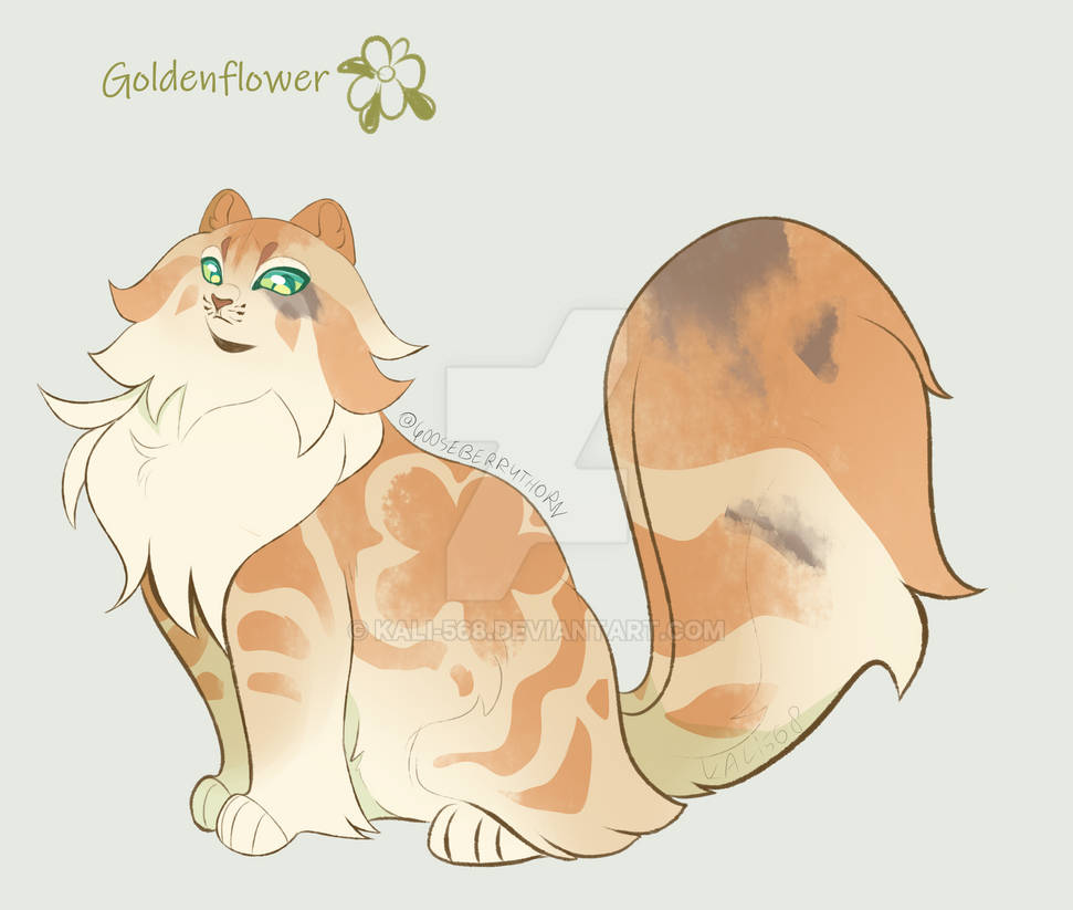Warrior Cats Goldenflower By Kali 568 On DeviantArt warrior-cats-goldenflower-by-kali-568-on-deviantart