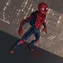 Spider-Man Reboot Costume