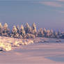 Winter Scenery prt. 1