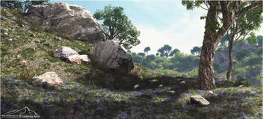 Rocky Outcrop - Flowered Hill