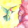 Hummingbird - Watercolour