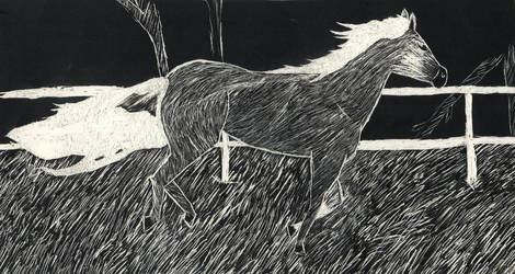 Horse scratch art