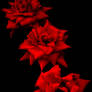 Red Dead Roses