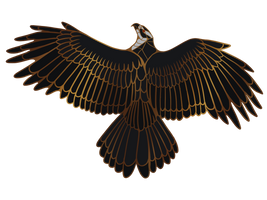 Goshawk Pin