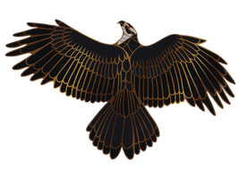 Goshawk Pin