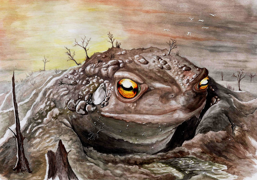 Giant toad by Giric